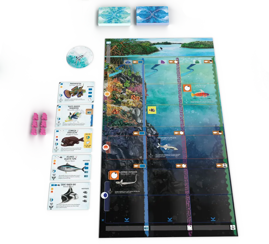 Finspan-spelersbord.webp