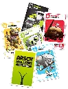 Arschmallow_Speelmateriaal.webp
